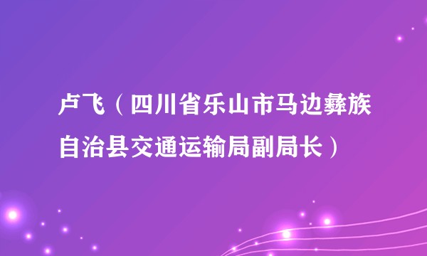 卢飞（四川省乐山市马边彝族自治县交通运输局副局长）
