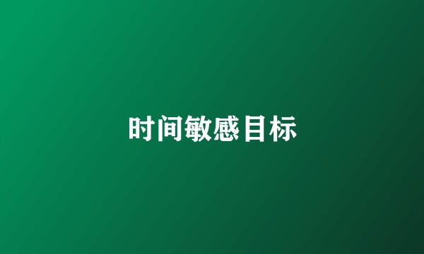 时间敏感目标