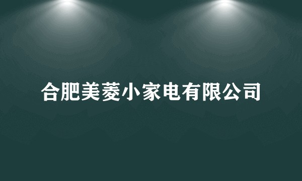 合肥美菱小家电有限公司