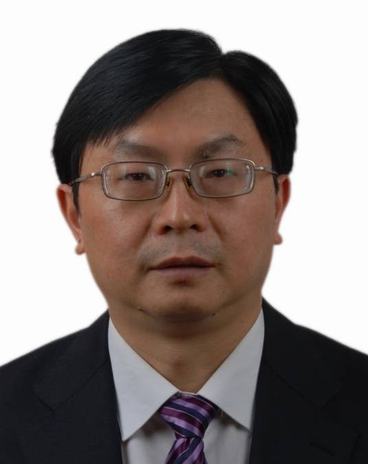 陈亚军(西华师范大学教授)