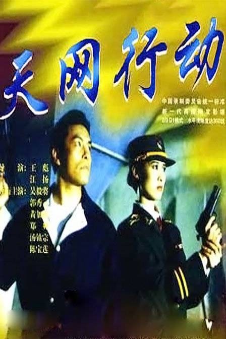 天网行动(1994年王彪执导的动作类电影)