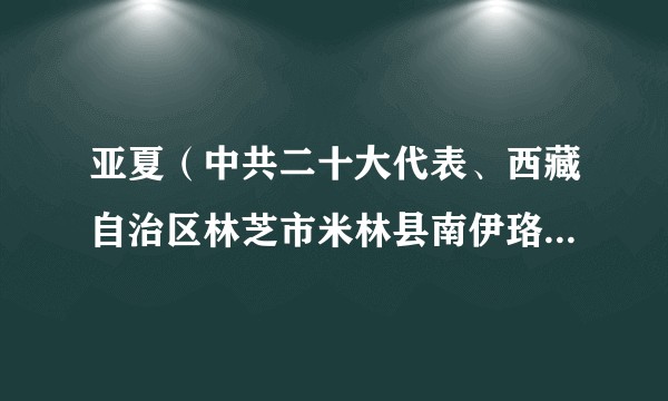 亚夏（中共二十大代表、西藏自治区林芝市米林县南伊珞巴民族乡南伊村妇联主席）
