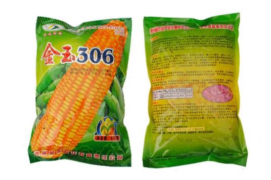 金玉(玉米品种)