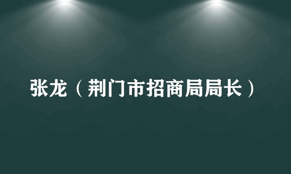 张龙（荆门市招商局局长）