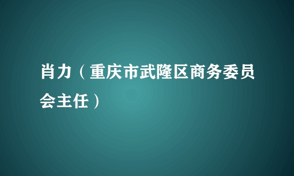 肖力（重庆市武隆区商务委员会主任）