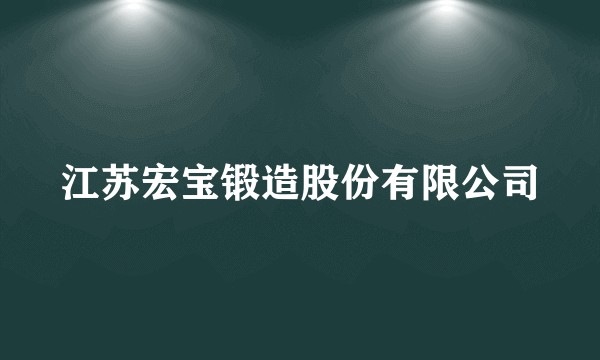 江苏宏宝锻造股份有限公司