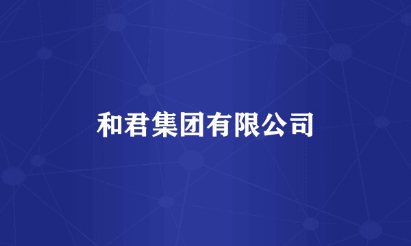 和君集团有限公司