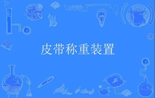 皮带称重装置