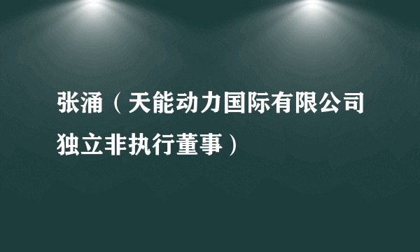 张涌（天能动力国际有限公司独立非执行董事）