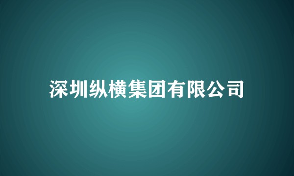 深圳纵横集团有限公司