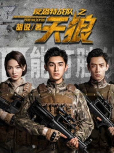 反恐特战队之天狼(胡说创作的军事题材小说)