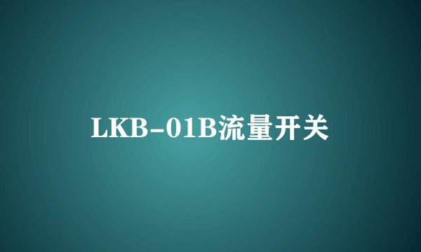 LKB-01B流量开关