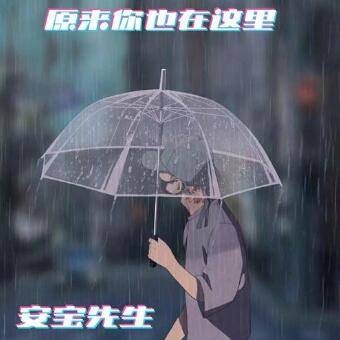 原来你也在这里（安宝先生演唱的歌曲）