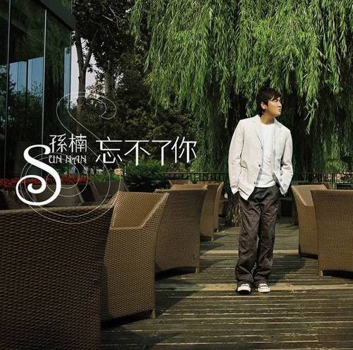 忘不了你(孙楠2005年音乐专辑)