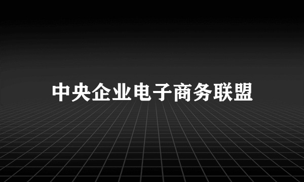 中央企业电子商务联盟