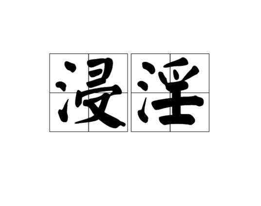 浸淫（汉语词语）