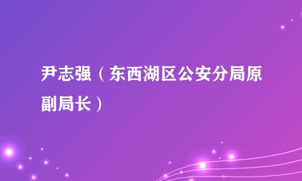 尹志强（东西湖区公安分局原副局长）