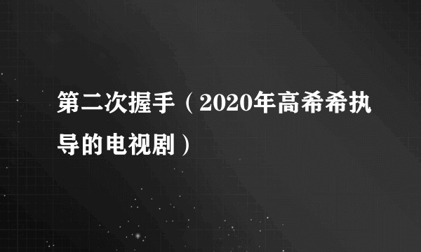 第二次握手（2020年高希希执导的电视剧）