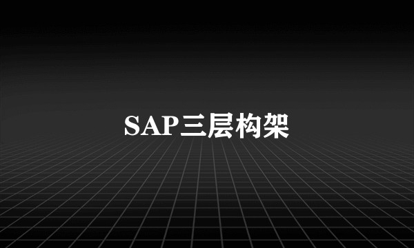 SAP三层构架