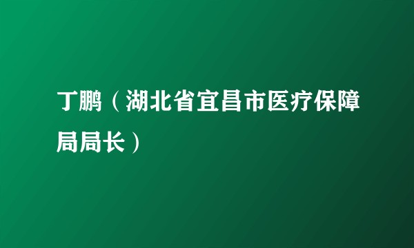 丁鹏（湖北省宜昌市医疗保障局局长）