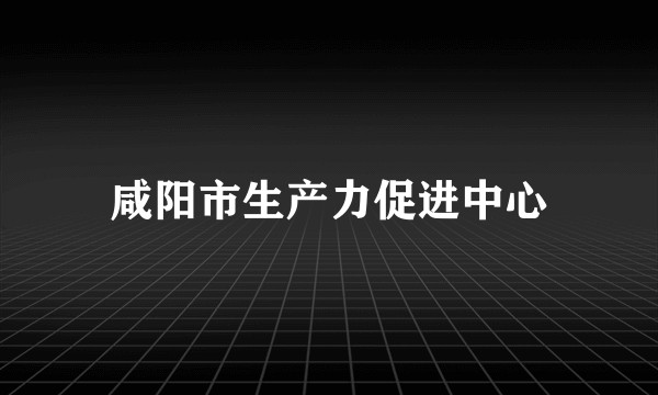咸阳市生产力促进中心