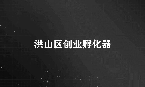 洪山区创业孵化器