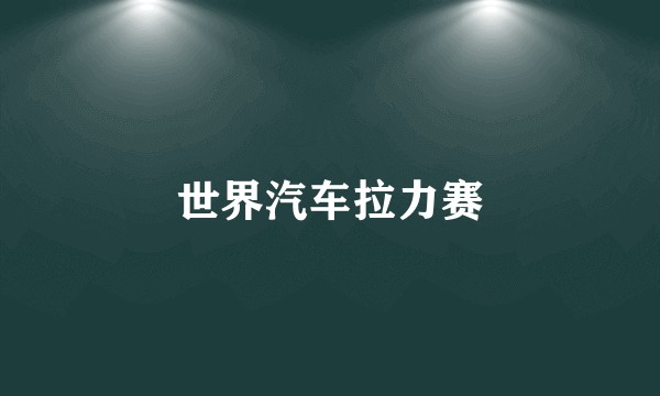 世界汽车拉力赛