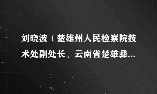 刘晓波（楚雄州人民检察院技术处副处长、云南省楚雄彝族自治州禄丰市人民检察院检察长）