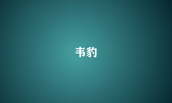 韦豹