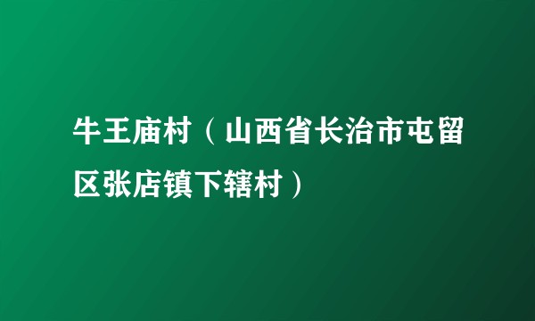 牛王庙村（山西省长治市屯留区张店镇下辖村）