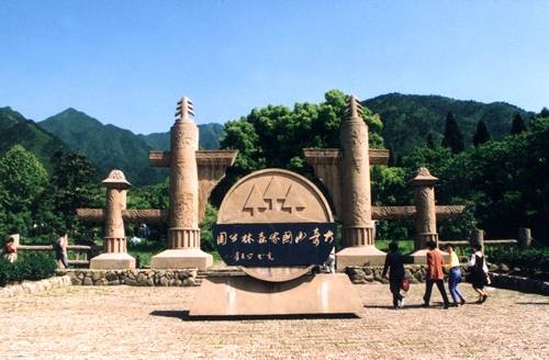 桐庐·大奇山国家森林公园