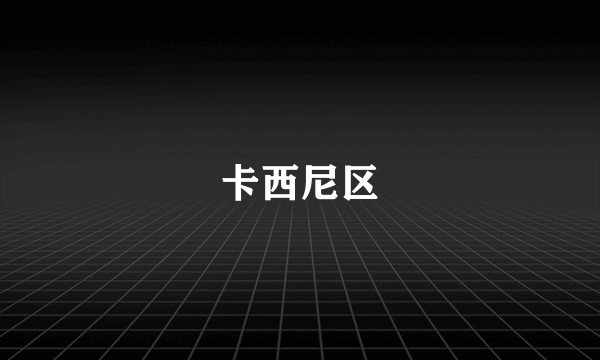 卡西尼区