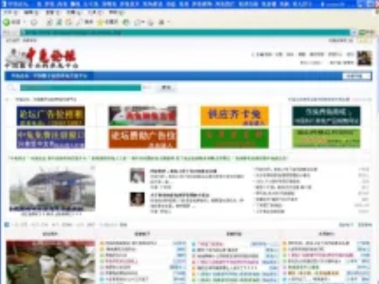 中兔论坛