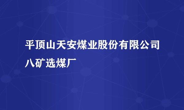 平顶山天安煤业股份有限公司八矿选煤厂
