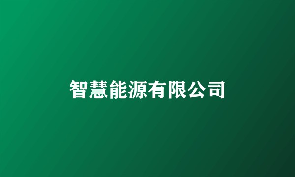 智慧能源有限公司