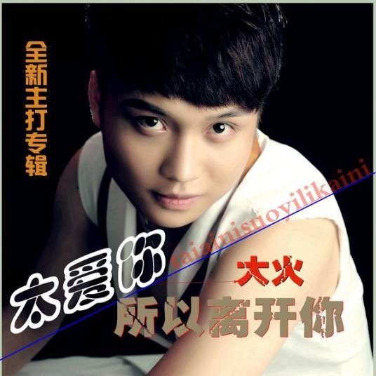 大火(中国内地男歌手)