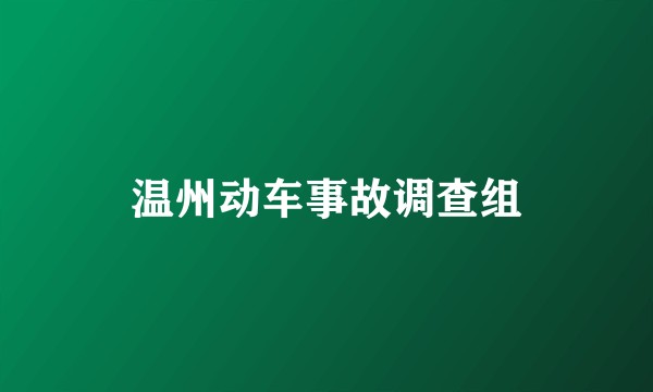 温州动车事故调查组