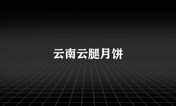 云南云腿月饼