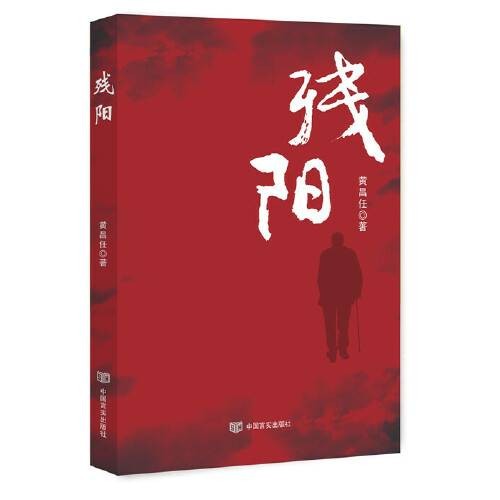 残阳（2018年中国言实出版社出版的图书）