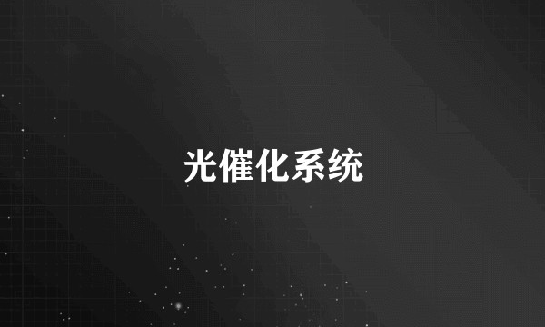 光催化系统