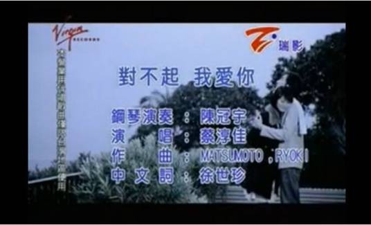 对不起，我爱你（蔡淳佳演唱歌曲）