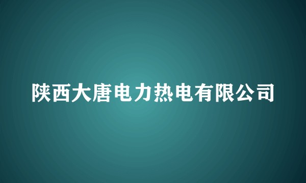 陕西大唐电力热电有限公司