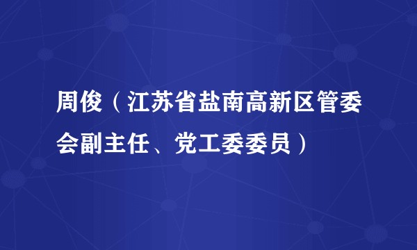 周俊（江苏省盐南高新区管委会副主任、党工委委员）