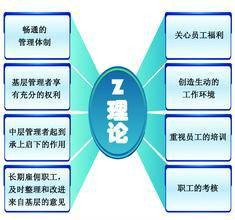 Z型组织