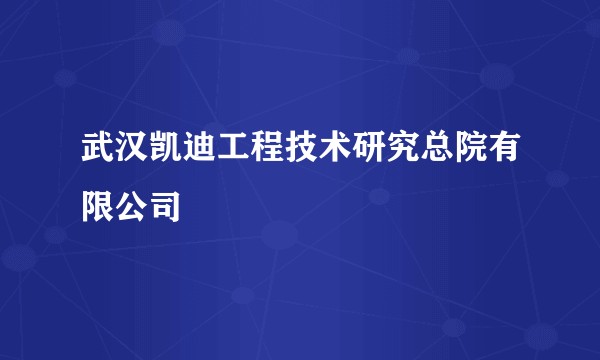武汉凯迪工程技术研究总院有限公司
