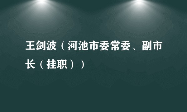 王剑波（河池市委常委、副市长（挂职））
