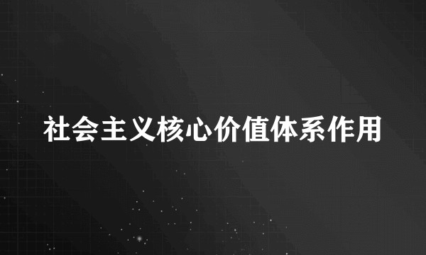 社会主义核心价值体系作用