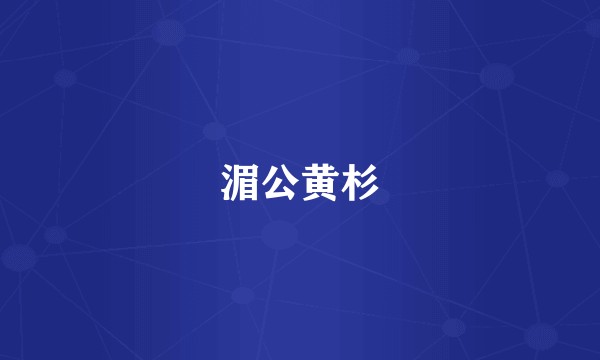 湄公黄杉
