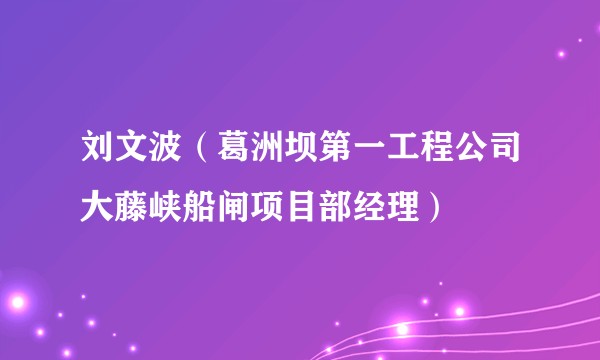 刘文波（葛洲坝第一工程公司大藤峡船闸项目部经理）