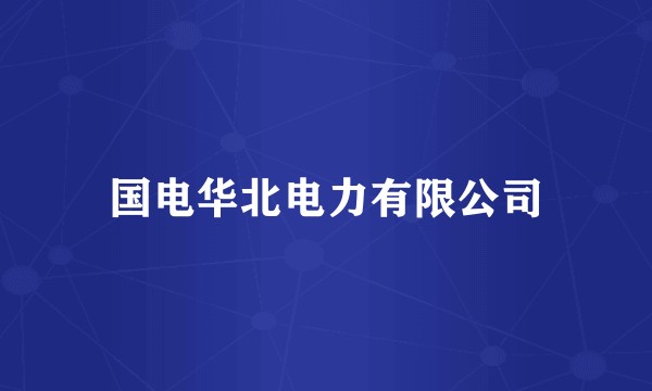 国电华北电力有限公司
